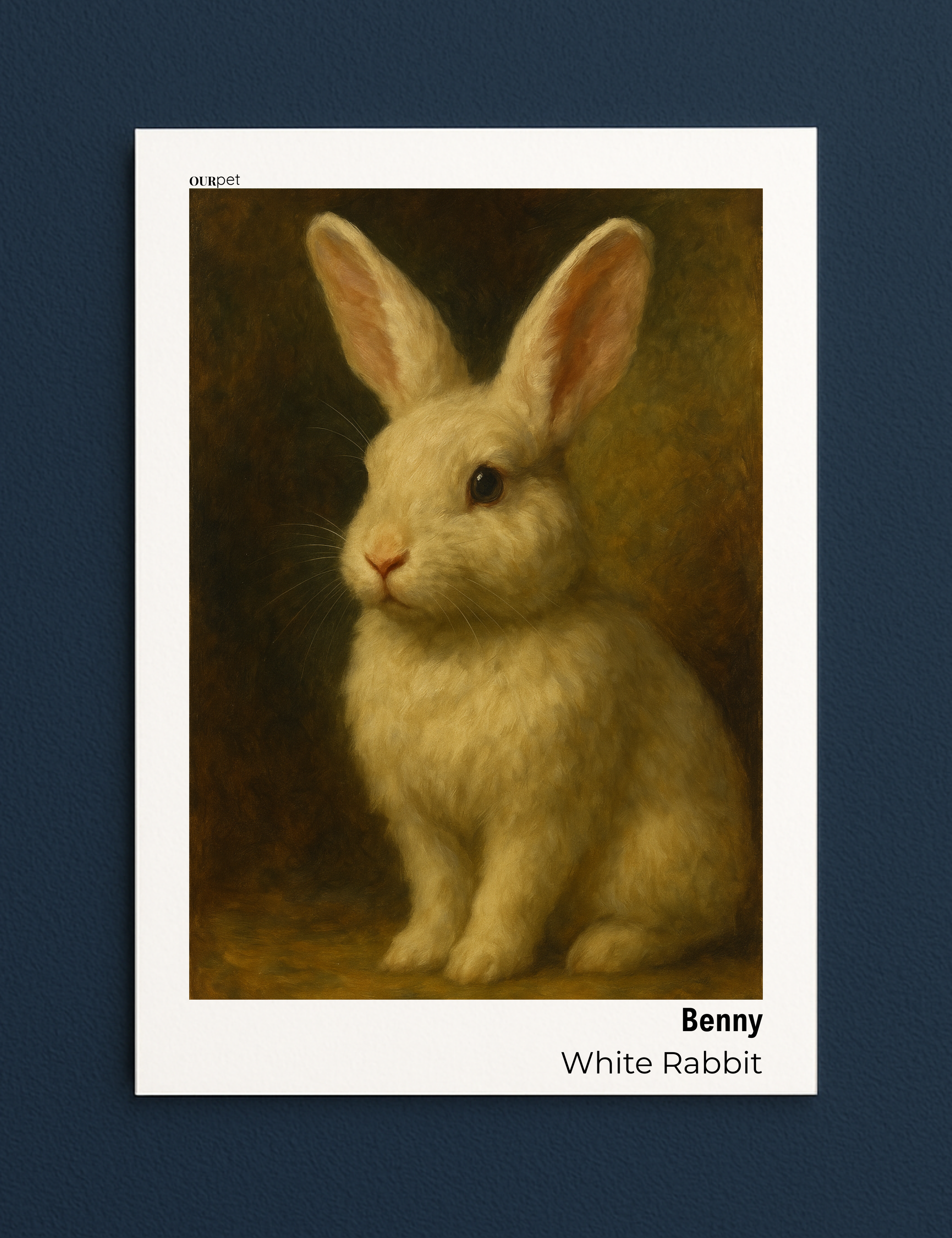 Pet - Modern Oil Classic